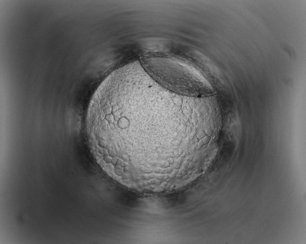 X0000116760417200912311822