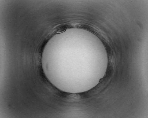 X0000116760421200912311822