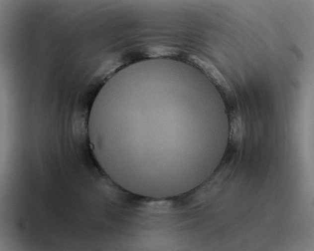 X0000116760426200912311822
