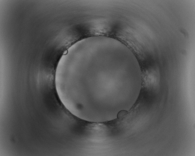 X0000116760427200912311822