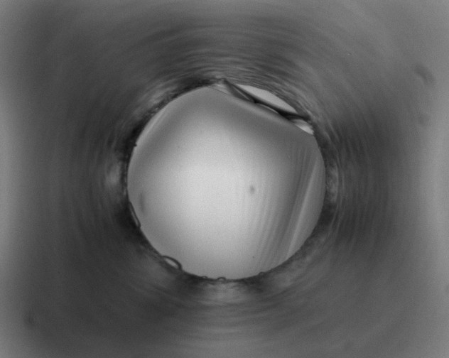 X0000116760428200912311822