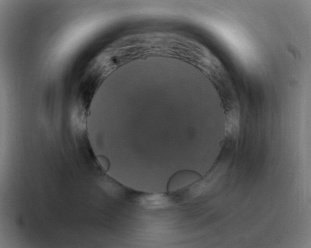X0000116760431200912311822