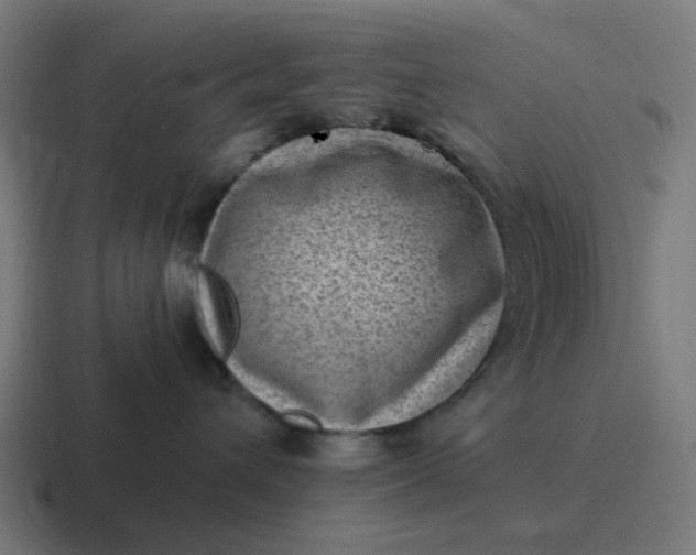 X0000116760432200912311822