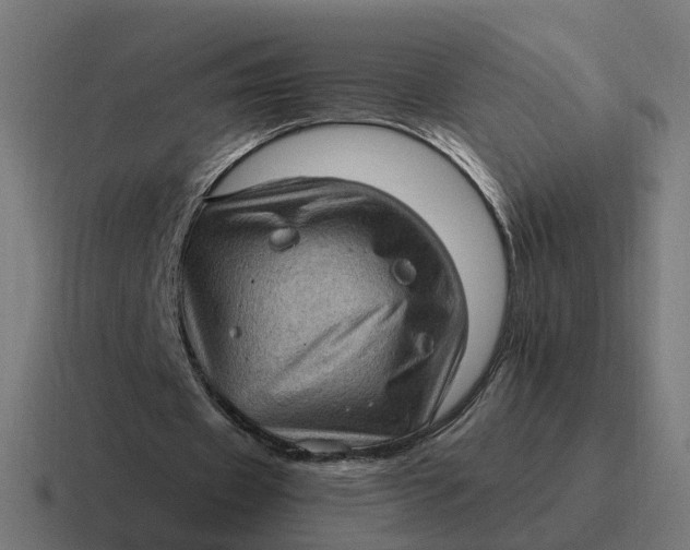 X0000116760433200912311821