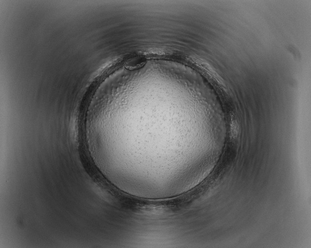 X0000116760444200912311822