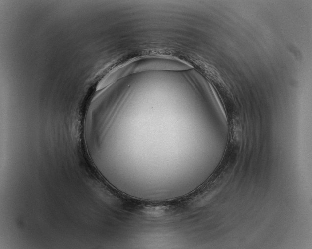 X0000116760450200912311822