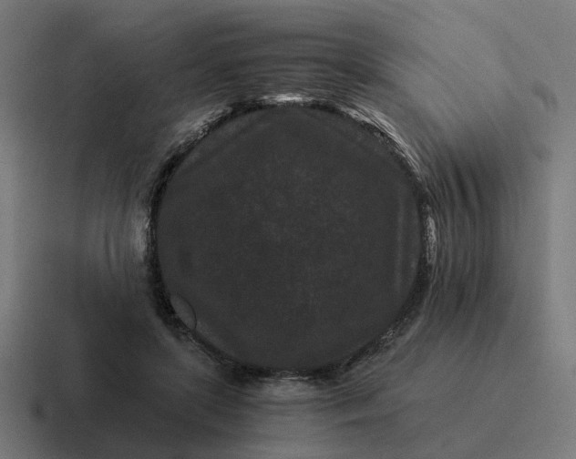 X0000116760451200912311822