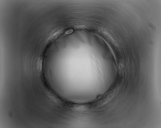 X0000116760454200912311822
