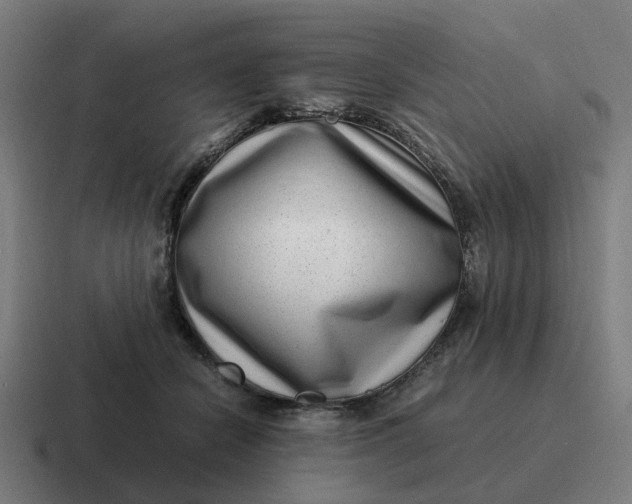X0000116760462200912311822