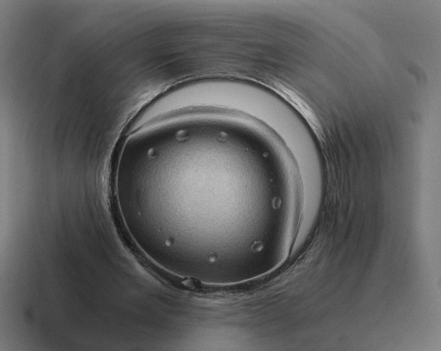 X0000116760485200912311821