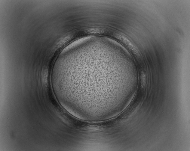 X0000116760490200912311821