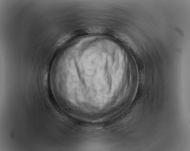 X0000116760491200912311821