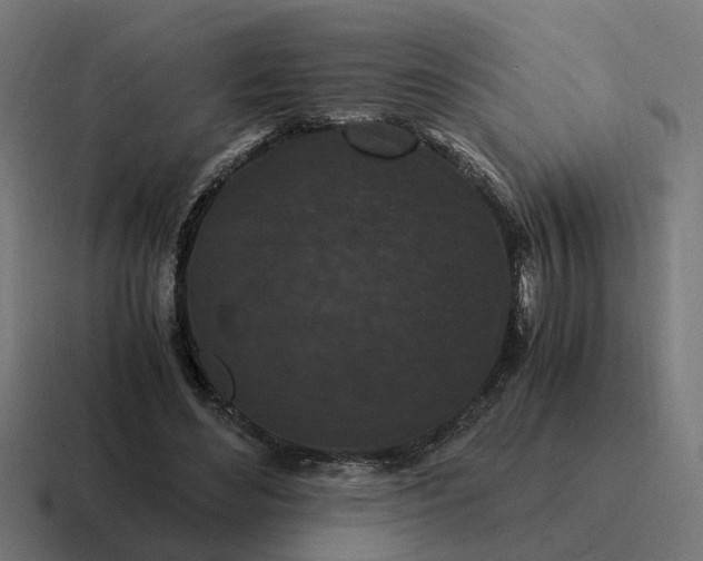 X0000116760492200912311821