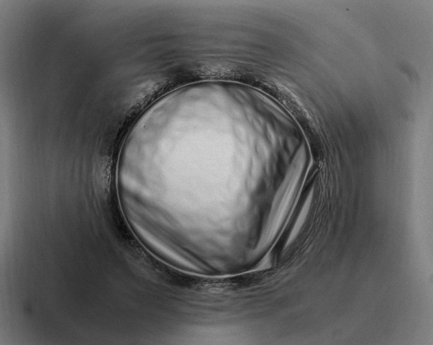 X0000116760495200912311821