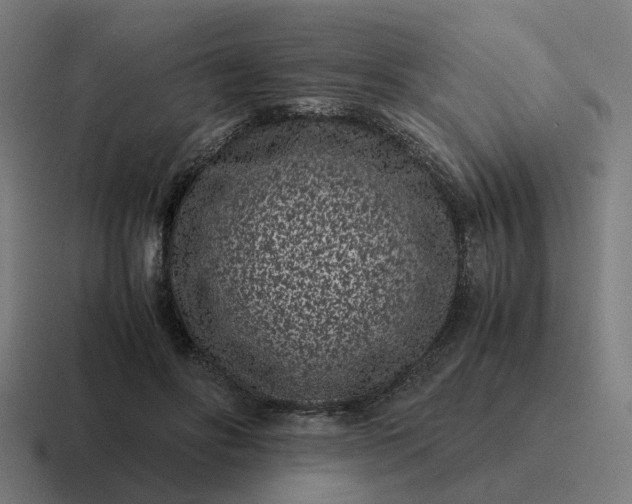 X0000116760502200912311821