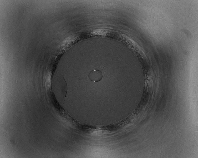 X0000116760504200912311821