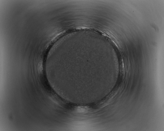 X0000116760508200912311821