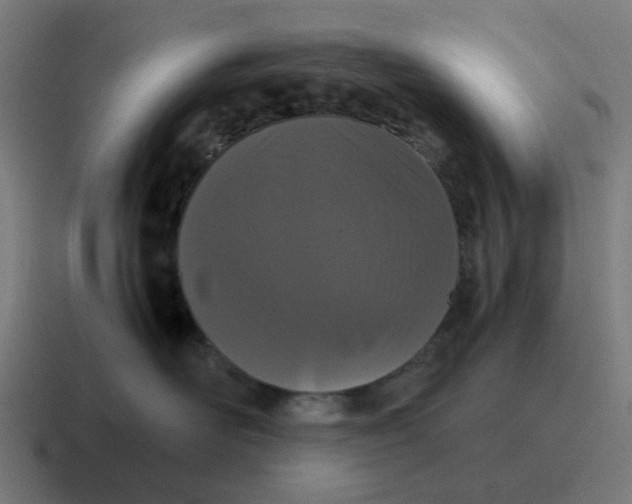 X0000116760526200912311821