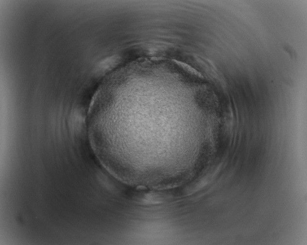 X0000116760527200912311821