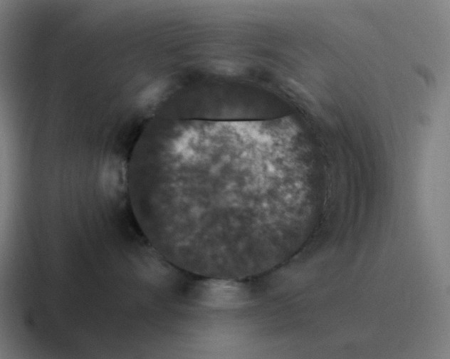 X0000116760528200912311821