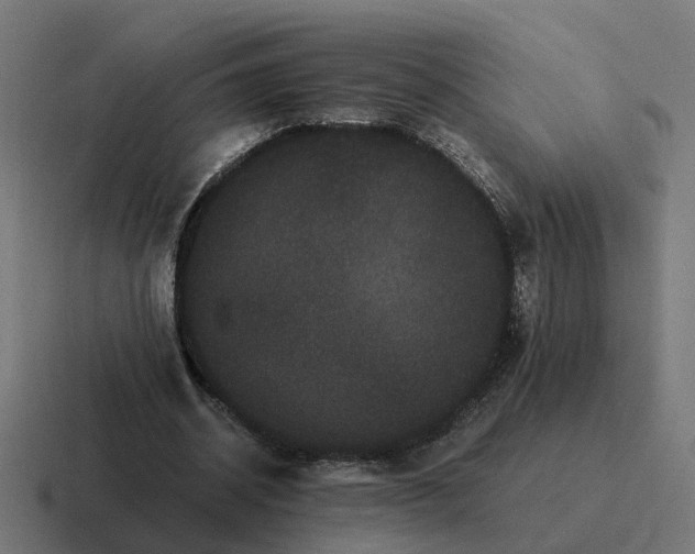 X0000116760534200912311820