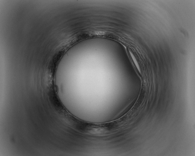 X0000116760555200912311821