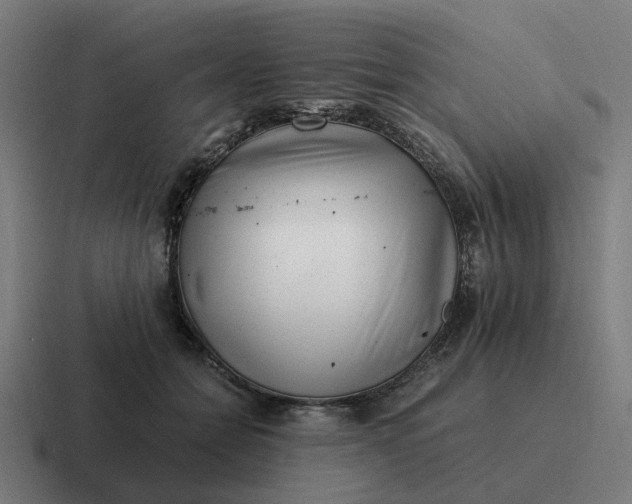 X0000116760558200912311821