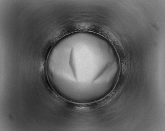 X0000116760561200912311821