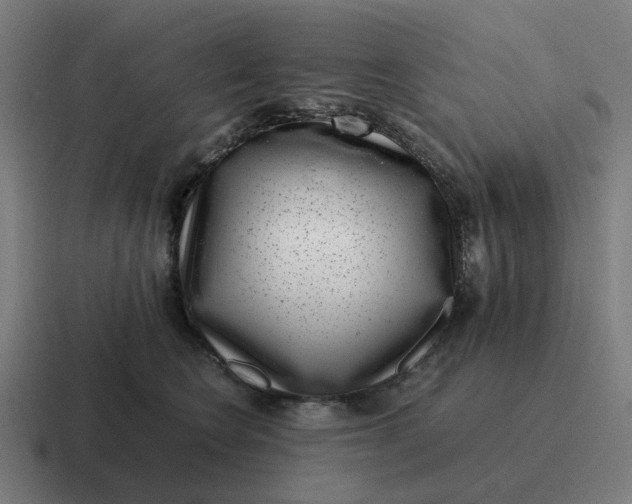X0000116760566200912311821
