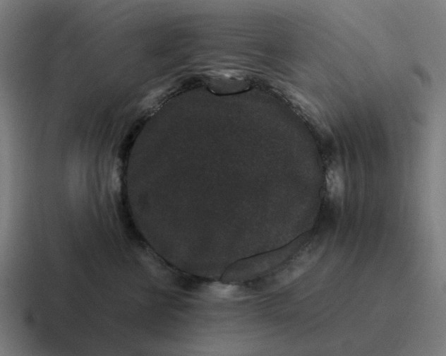 X0000116760570200912311821