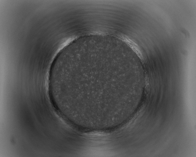 X0000116760578200912311820