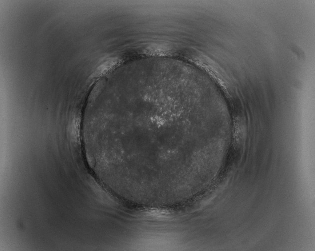 X0000116760585200912311820