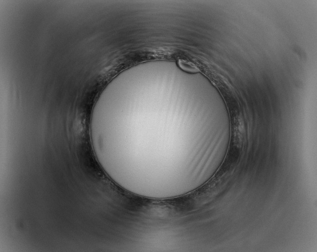 X0000116760608200912311820
