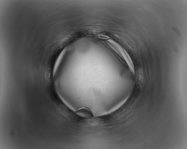 X0000116760615200912311820