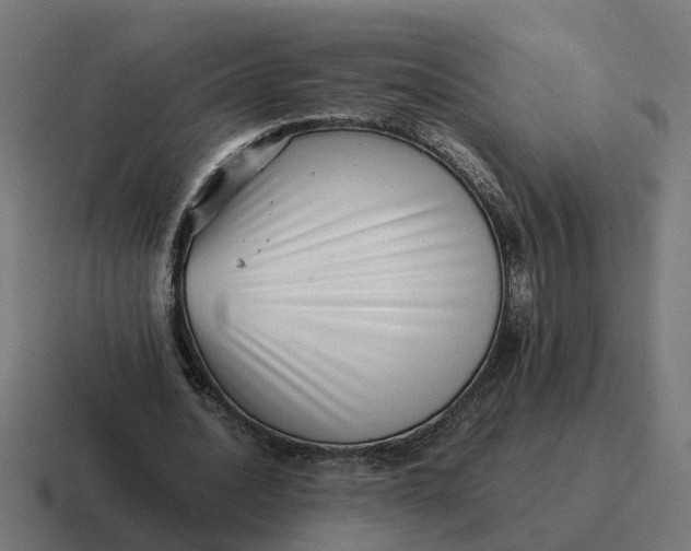 X0000116760628200912311819