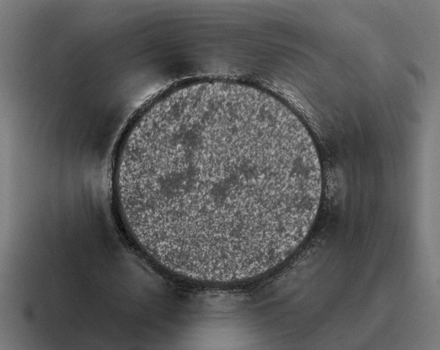 X0000116760632200912311819