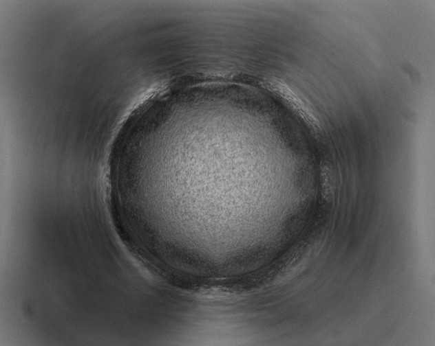 X0000116760634200912311819
