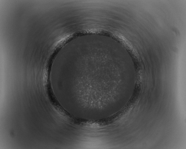 X0000116760640200912311819