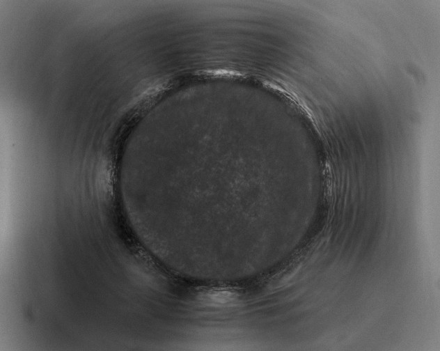 X0000116760643200912311819