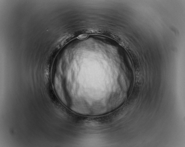 X0000116760648200912311819