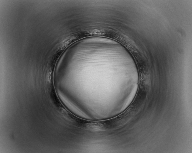 X0000116760652200912311819