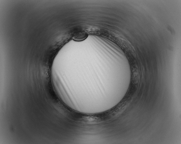 X0000116760654200912311819