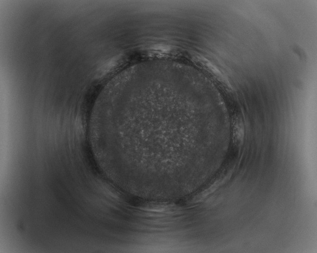 X0000116760661200912311819