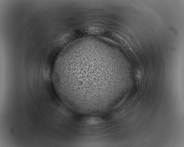 X0000116760663200912311820