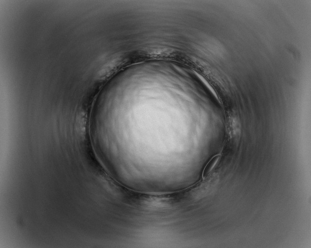X0000116760664200912311820