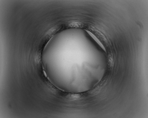 X0000116760665200912311820