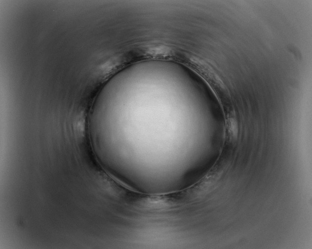 X0000116760668200912311820