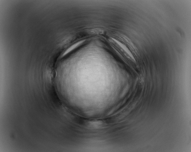 X0000116760669200912311820