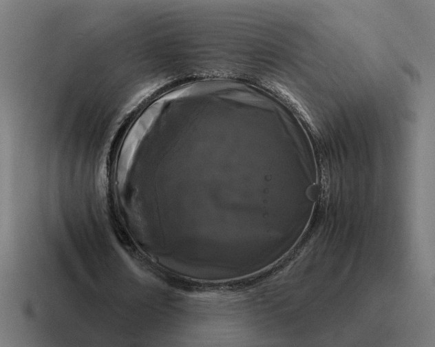 X0000116760674200912311819