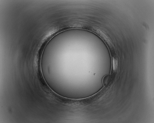 X0000116760675200912311819